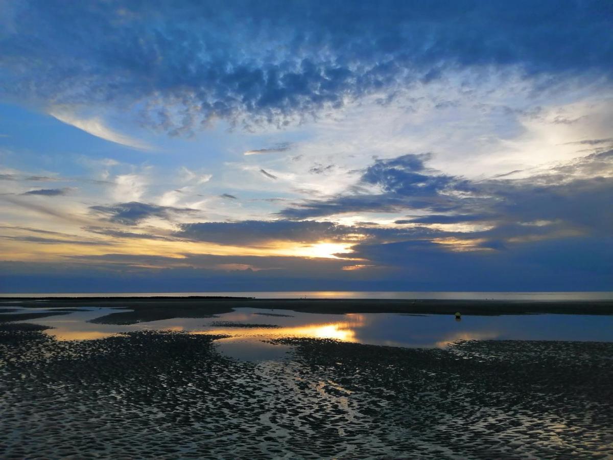 Le Cocon Des Dunes كويند المظهر الخارجي الصورة